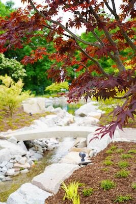 Guided Tour of the Japanese Garden in Bad Krozingen