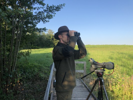 Pure Nature Experience: Hiking with the Ranger around Nussbaumersee