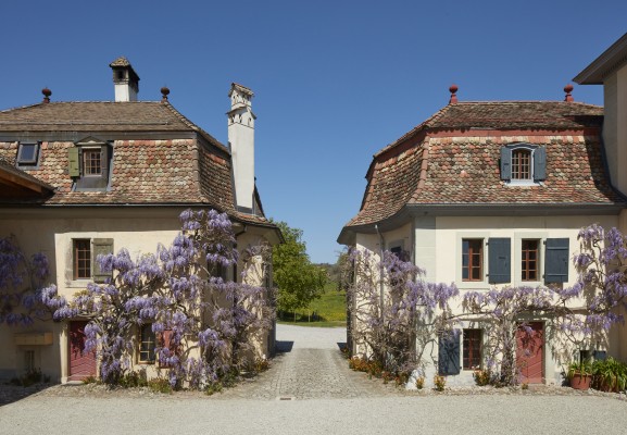 Free tour of the La Doges estate