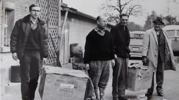 Felling Trees, Building Dams, Digging Castles: 60 Years of Beavers in Thurgau