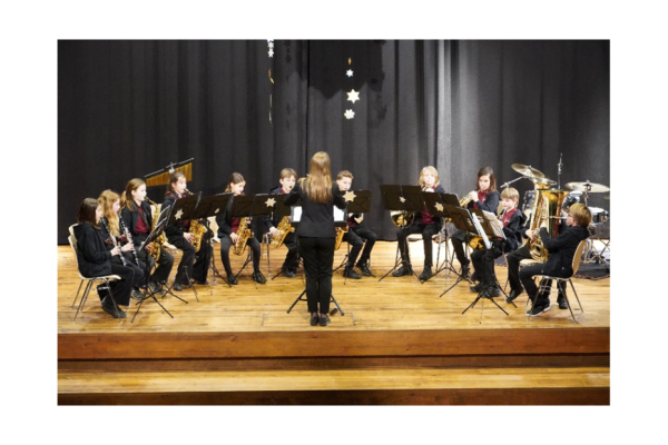 Musical History and Instrument Parade with the Junior Ensemble of Youth Music Bern-Bümpliz
