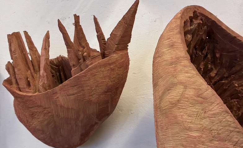 Galerie Stans Recorrido con el artista Rochus Lussi Zur H