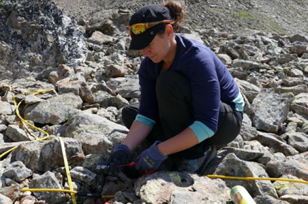 Permafrost in the High Mountains - Major Changes Inside the Mountains