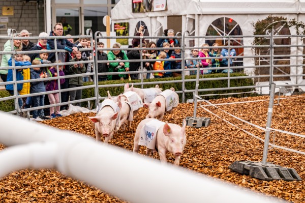 AMA Aargauer Messe Aarau
