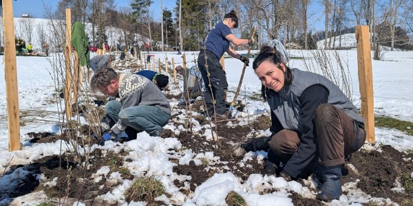 Nature Connects – A Hedge for Muolen