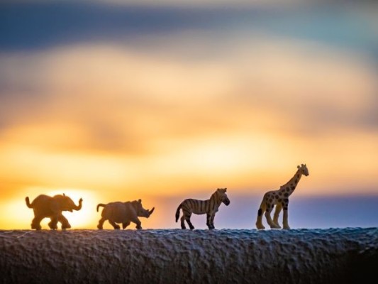 Theater-Workshop "Tiere"