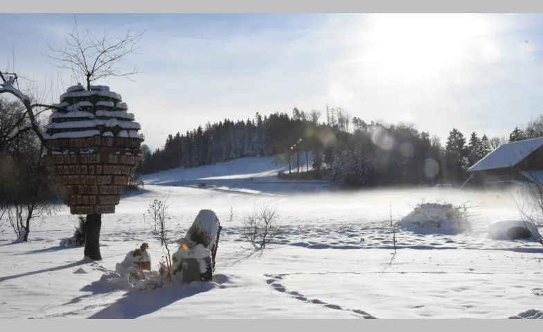 La nature connecte – Nous plantons une forêt du futur