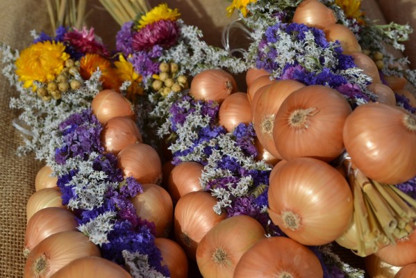 Onion Market