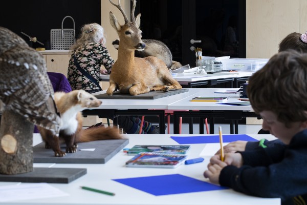 Dibujo de animales por la noche