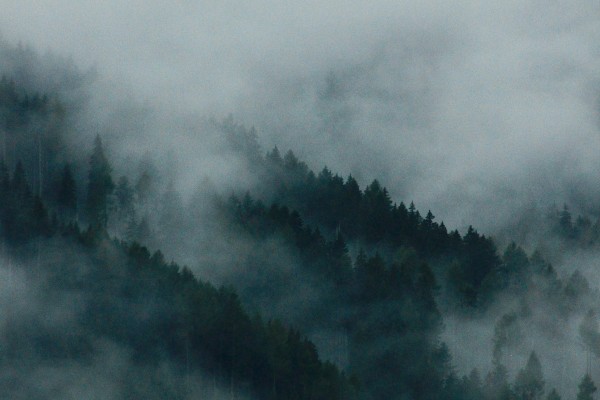 When the Mists Rise – Myths and Legends
