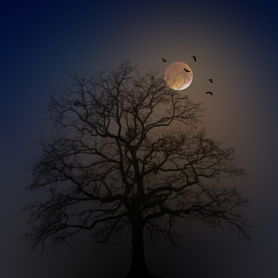 Creepy and Mysterious - A Fairy Tale Evening for Adults