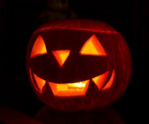 Halloween en el Zoo