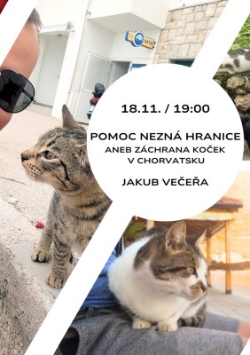 Help Knows No Borders or Saving Cats in Croatia