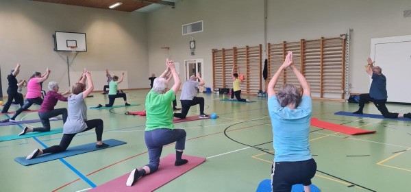 Holistic Gymnastics
