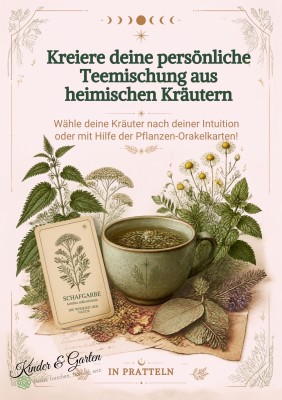 Créez votre mélange de thé personnalisé avec des herbes locales et un ensemble d'oracles