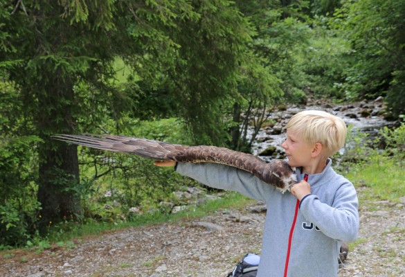 Exkursion: Im Reich der Steinadler