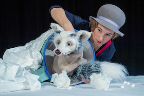Lichtgestöber - Schneegefunkel - Teatro de marionetas visual con lengua de señas alemana y lenguaje hablado