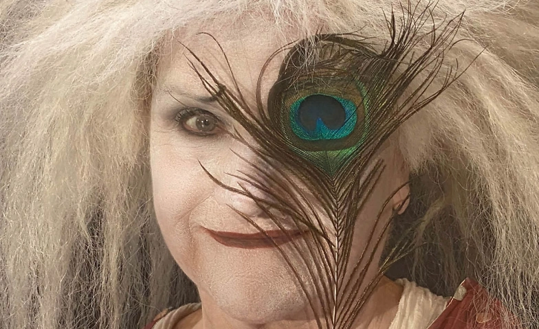 Gardi Hutter - «gardiZERO