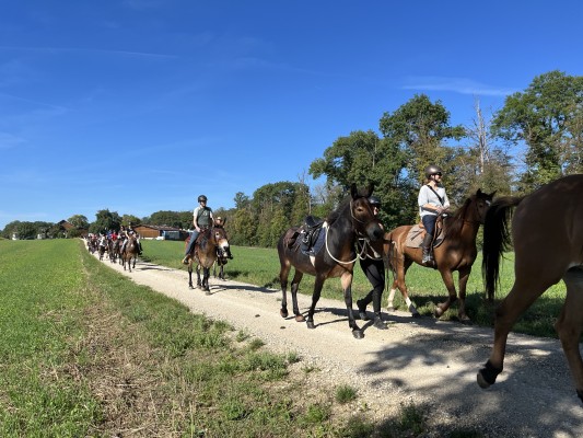 Donkey Ride in the Appenzell Region