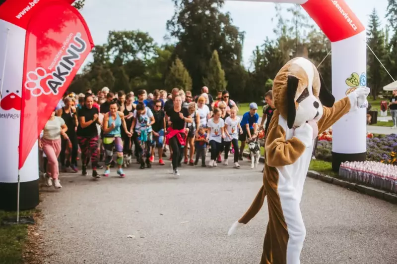 5to Evento Anual de Carrera y Caminata por Refugios en Olomouc
