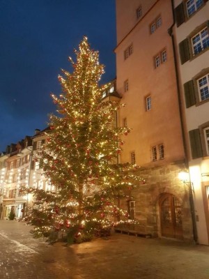 Public Christmas Tour