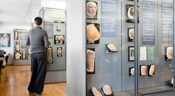 Medical Wax Models: Patient Documents in Medical Education