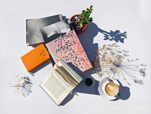 30e Semaine des Bibliothèques | Conférence, Atelier, Échange de Livres d'Art