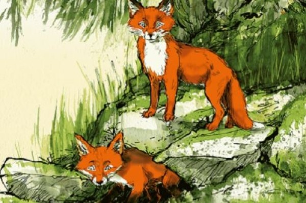 Gschichtefahrt: Fay and Finn