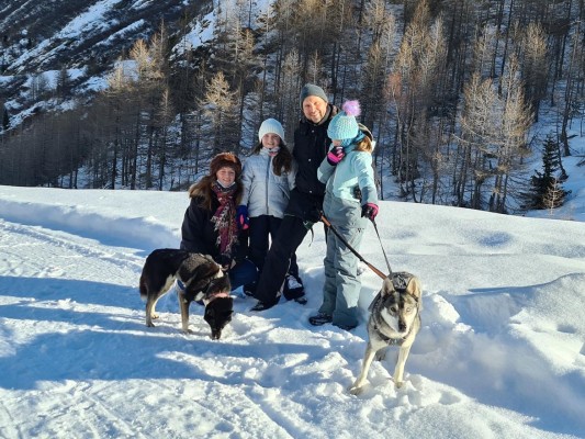 Family Husky Adventure Winter