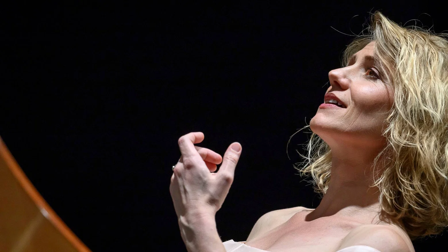 Czech Society for Chamber Music • Dagmar Šašková