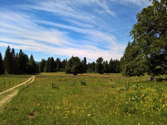 360° Green