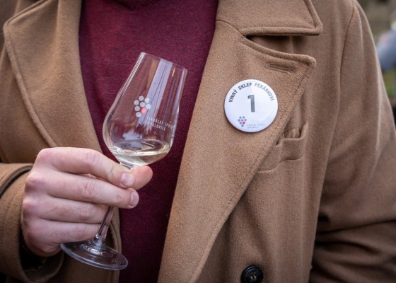 Cata de Vinos Jóvenes – Jornadas de Otoño en Chvalovice