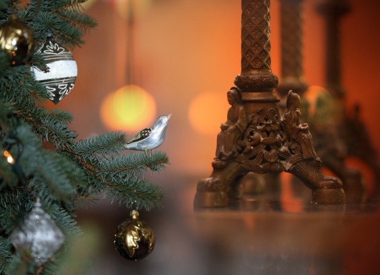 Concert de Noël au château de Sychrov