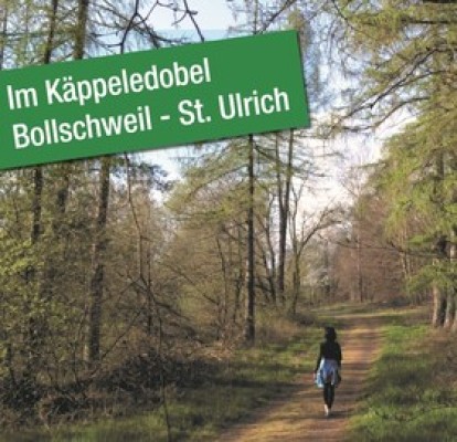 Waldbaden avec le coach nature Miriam Baldes