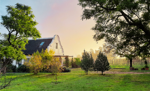 Wine & Dine South Africa