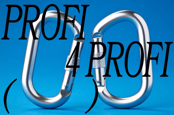 PROFI4PROFI – Masterclasses for Cultural Creators