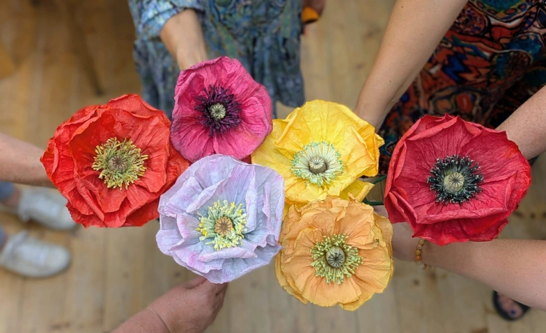 Rahmenprogramm Alles Echt!: Mohnblumen-Workshop mit Papina.c