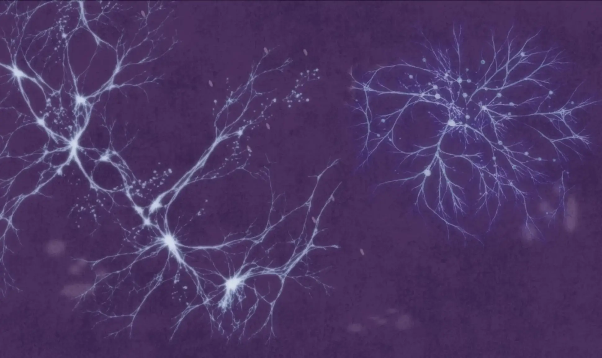 Embodied Sounds: Frequencies in Resonance
