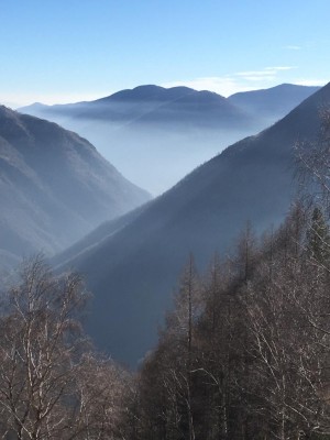Conscious Connected Breathwork - a breath workshop at the yoga studio