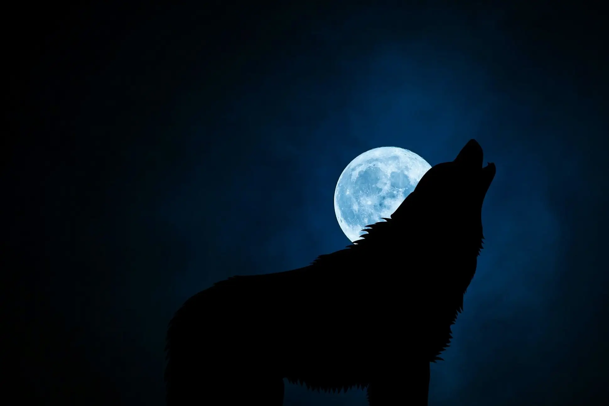 Der Riesen-Wolfsmensch