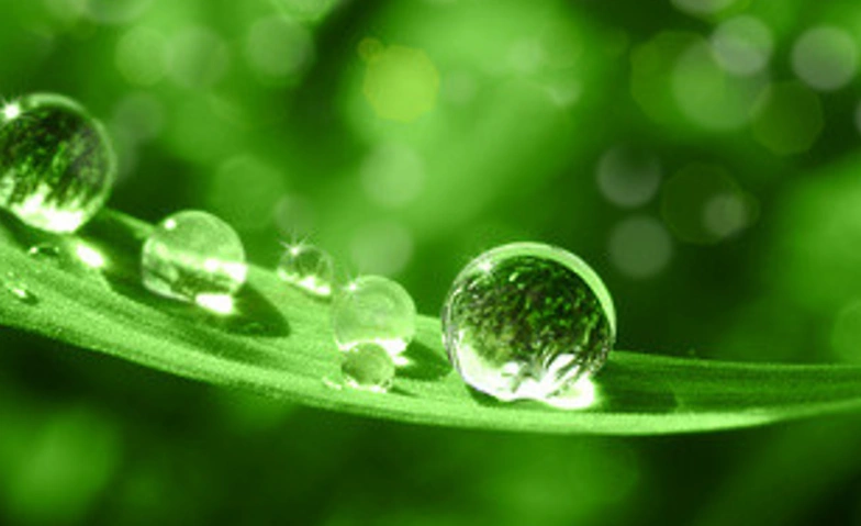 QuantumRegenesis Basiskurs
