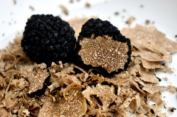 Truffles and Wines of Chamoson