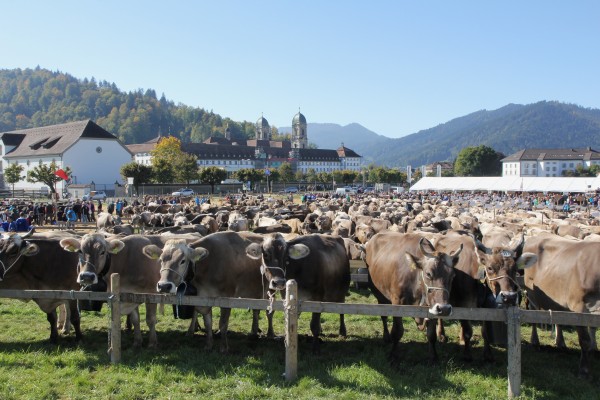 Nutztierschau Einsiedeln