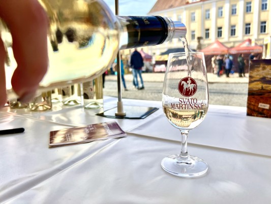 Svatomartinské slavnosti