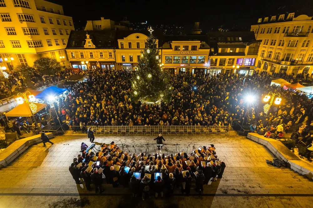 Lighting up the Christmas tree