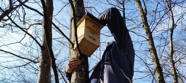 Nest Box Inspection