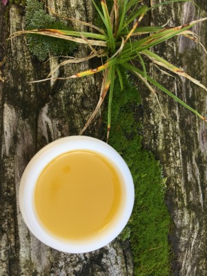 Medicinal Plant Workshop – Herbs for Gifting