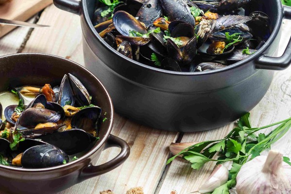 Moules-Schiff Aare