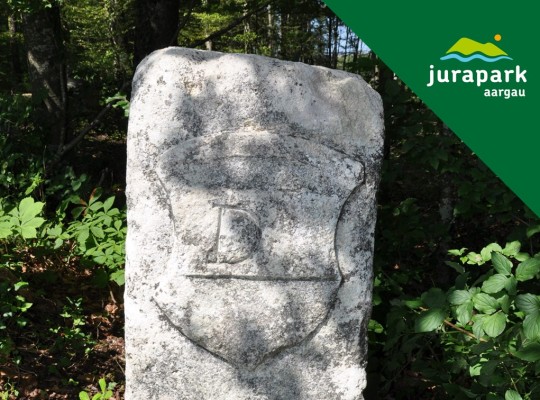 De Tafeljura a Faltenjura: Caminata a lo largo de la antigua Landmarch