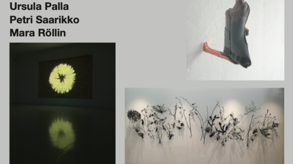 Ursula Palla, Petri Saarikko, Mara Röllin